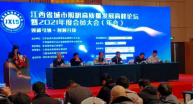 多米体育-多米online(中国)受邀参加江西省城市照明高质量发展高峰论坛